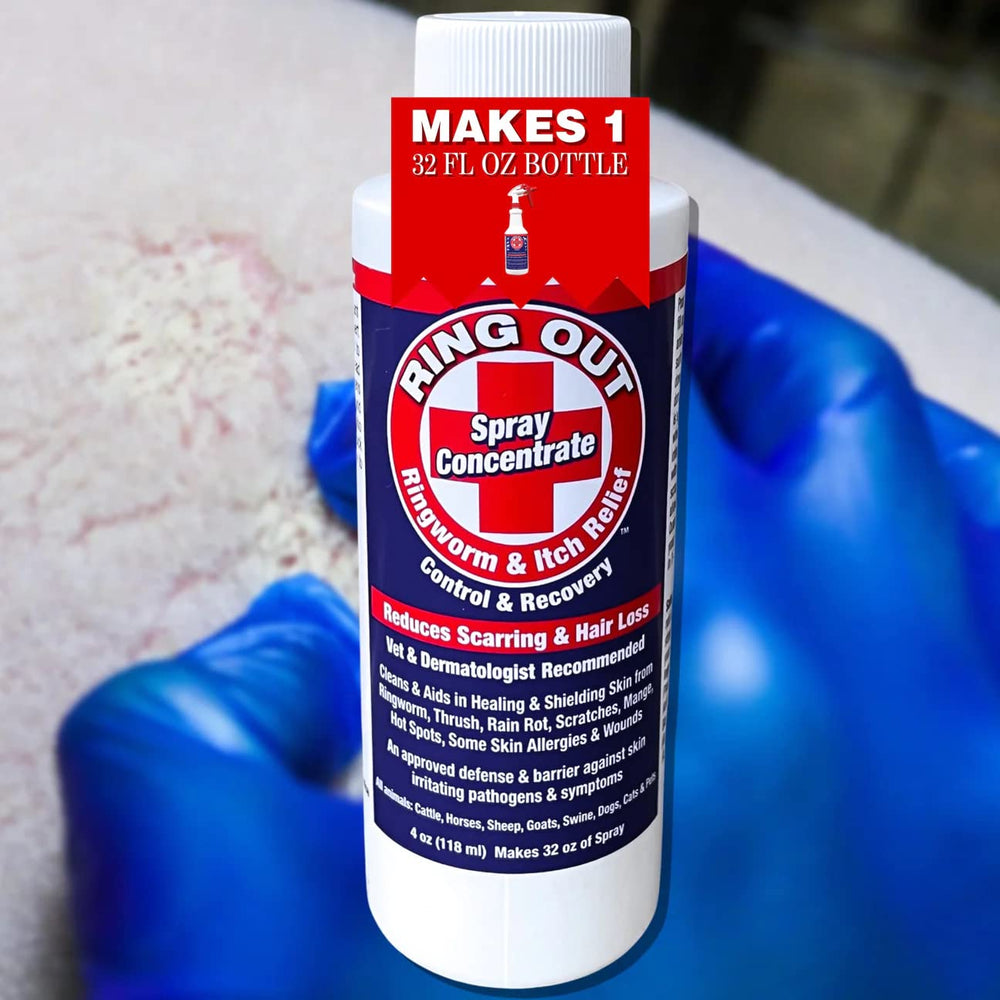 FlexTran Empty Spray Bottle 32oz ready for easy application.