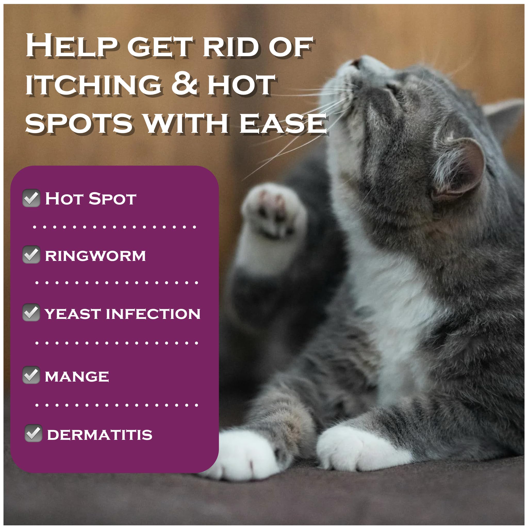 FlexTran Feline Ring Care for dogs and cats demonstrates versatile use.