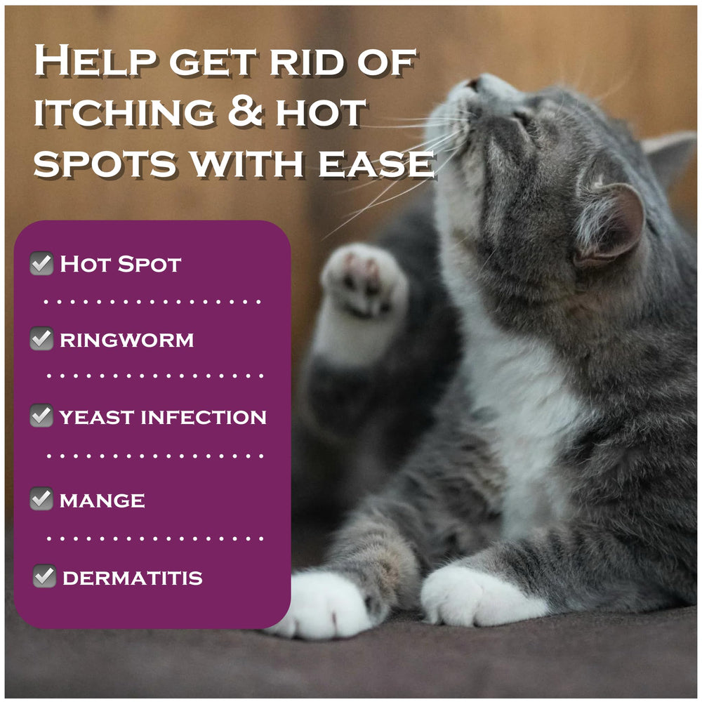 FlexTran Feline Ring Care for dogs and cats demonstrates versatile use.