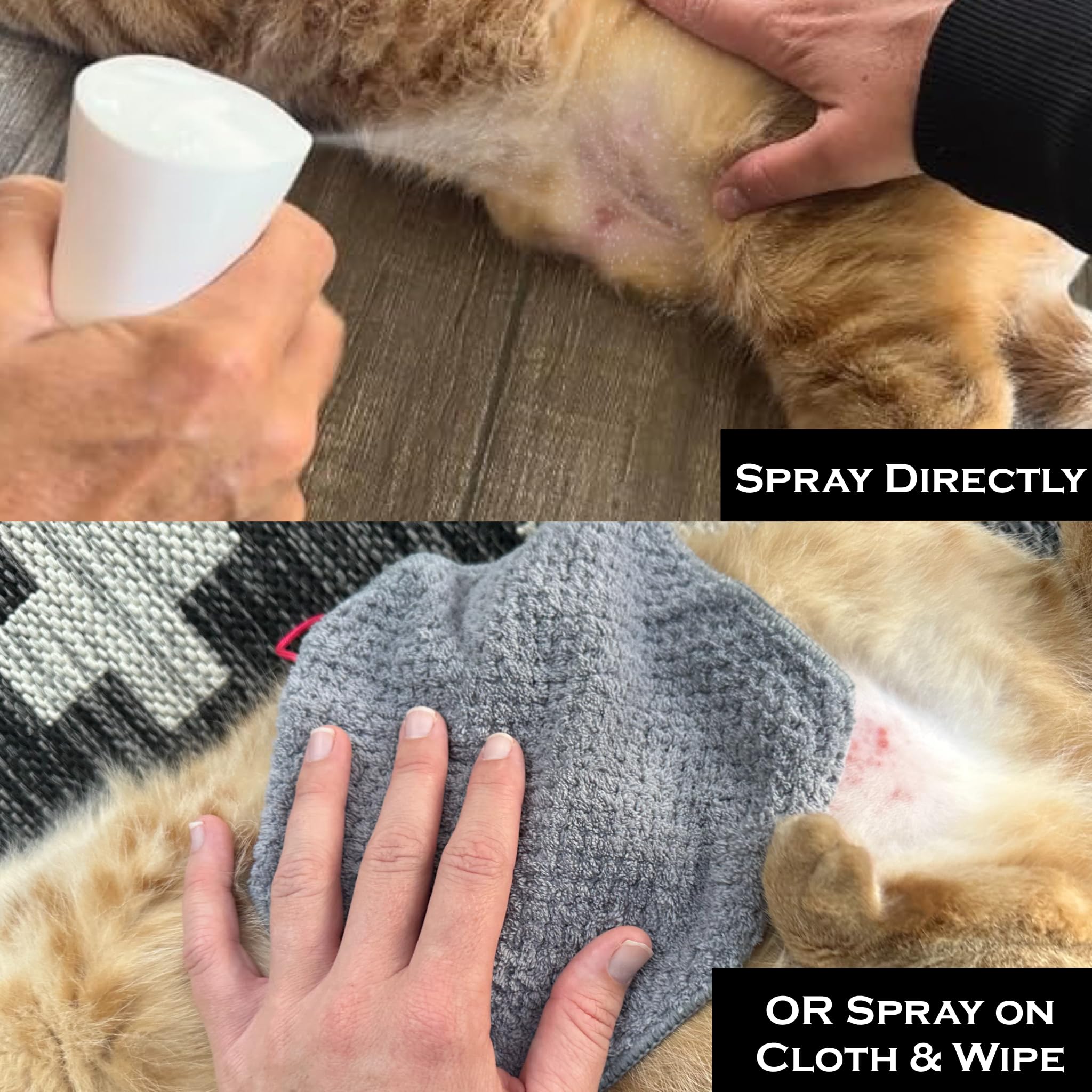 FlexTran Feline Ring Care product in hand suggests easy daily care.