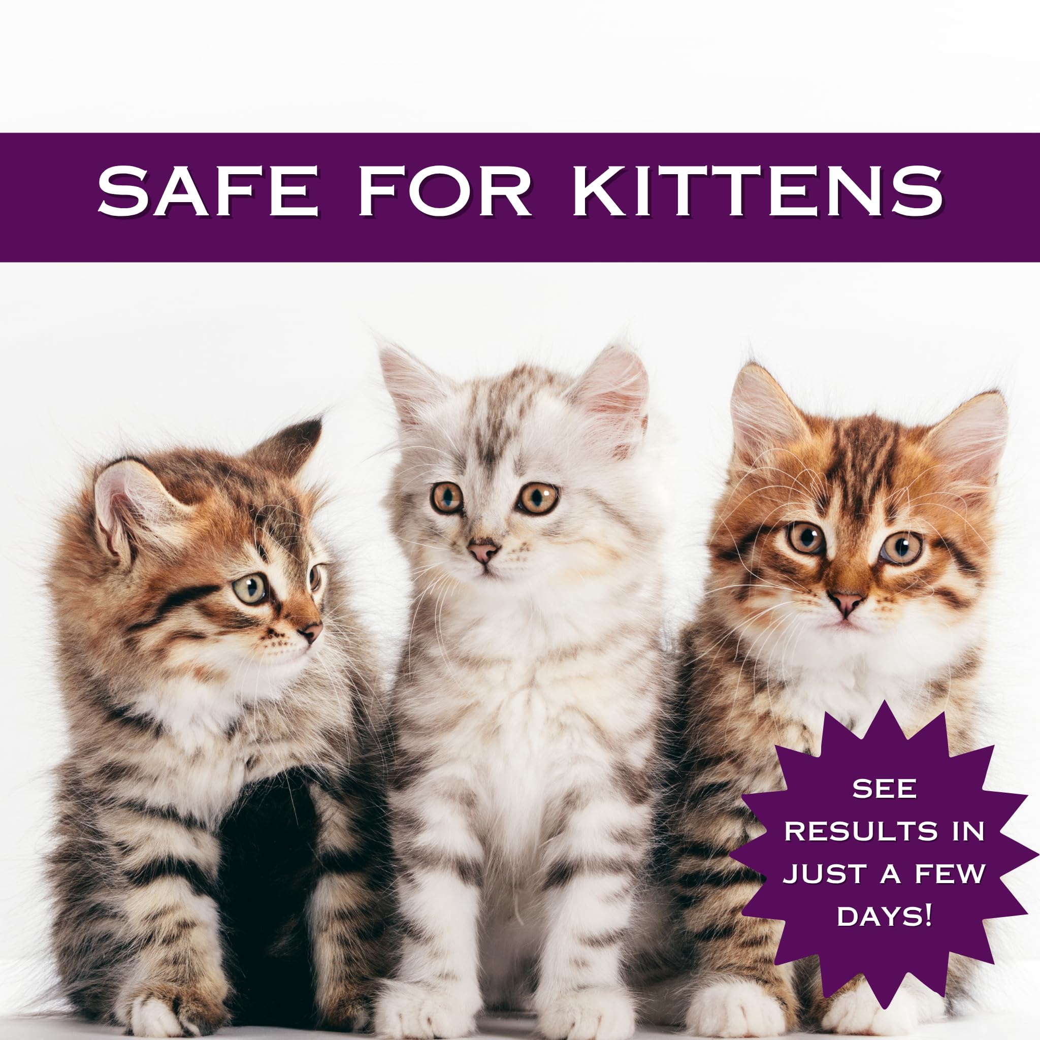 FlexTran Feline Ring Care safe-storage design and spill-free use.