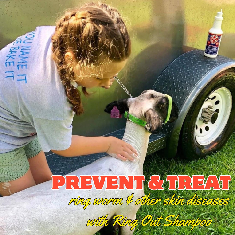 FlexTran Ring Out Shampoo lather showing low suds for skin-friendly cleaning.