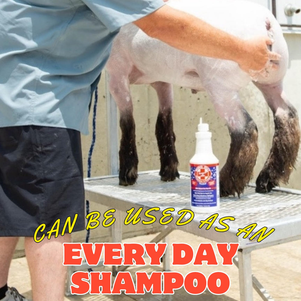 FlexTran Ring Out Shampoo used on a cat for smooth coat.