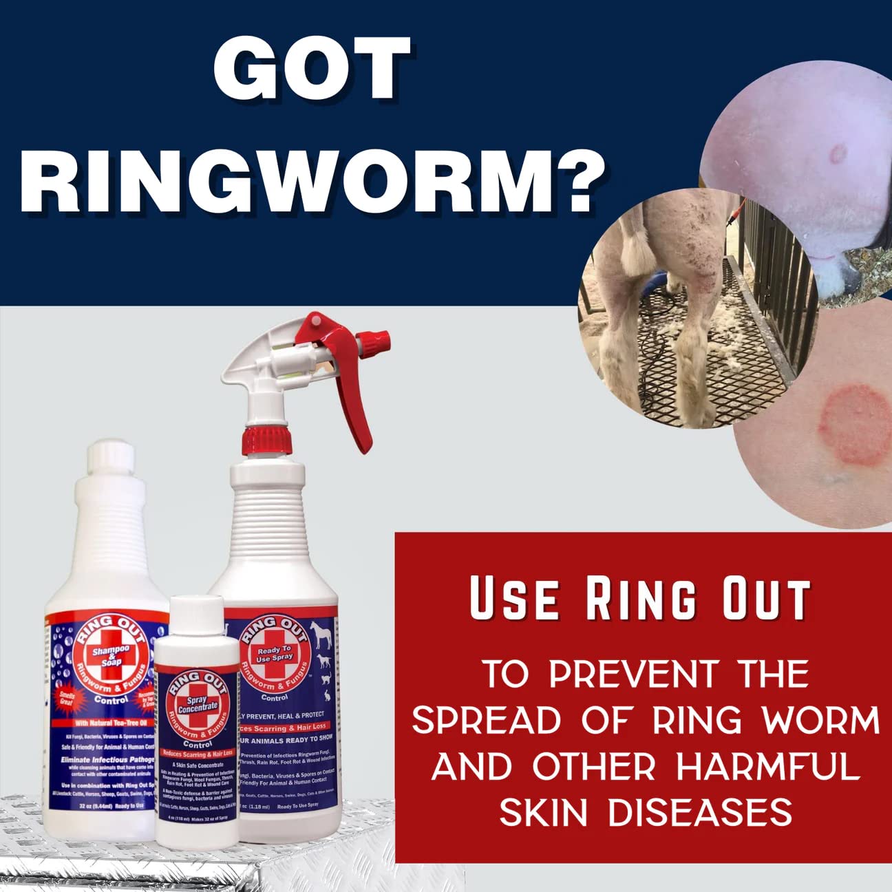 FlexTran Ring Out Shampoo label detail highlights gentle, non-toxic care.