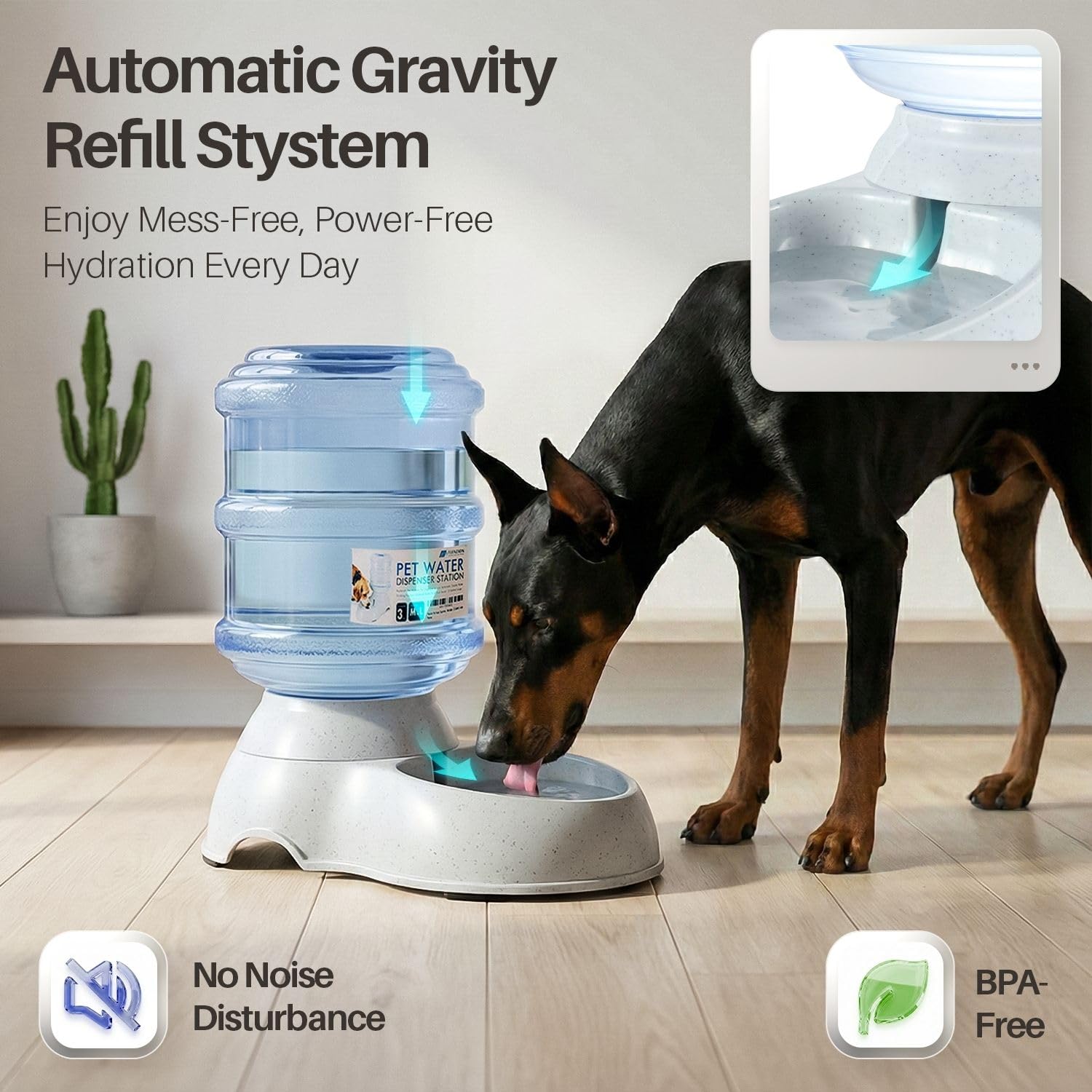 Three-gallon Flexzion pet water dispenser in a home kitchen