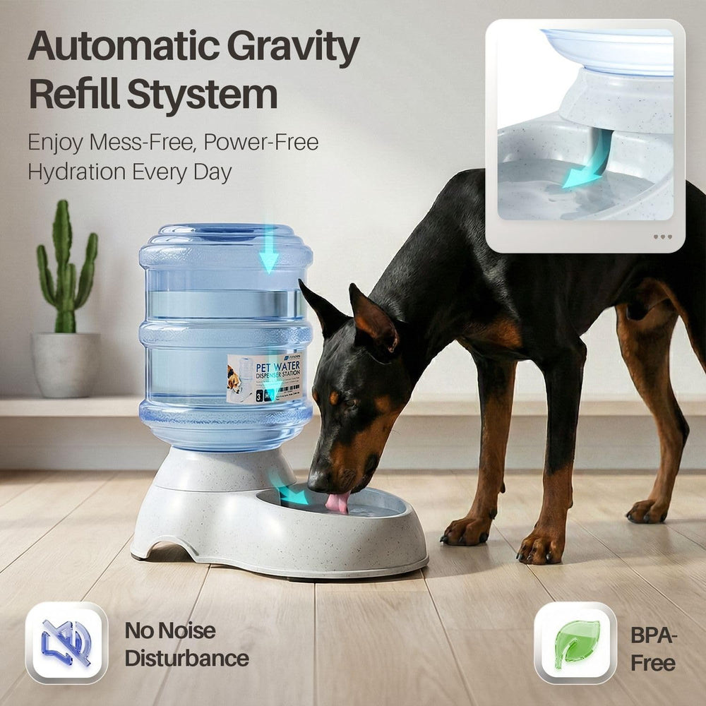 Three-gallon Flexzion pet water dispenser in a home kitchen