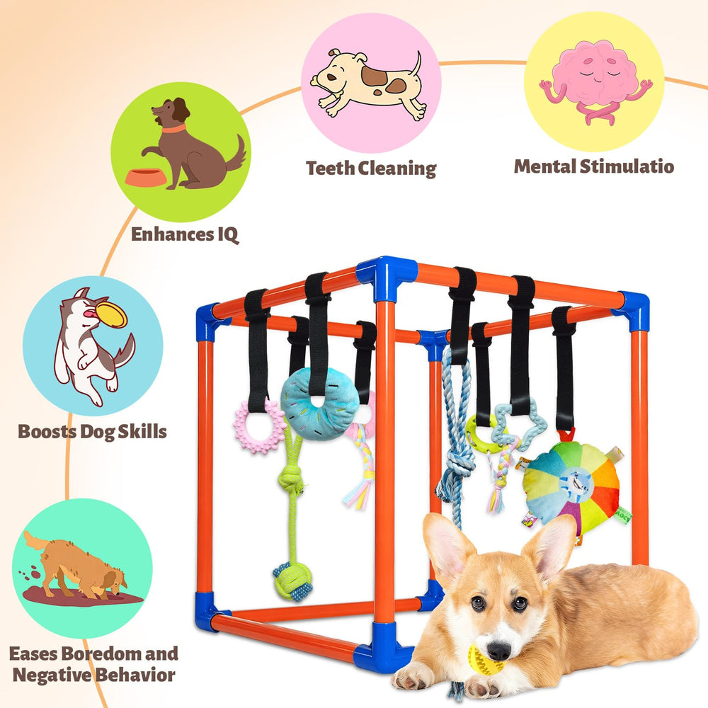 Flickzy treat-dispensing ball challenges the mind during play