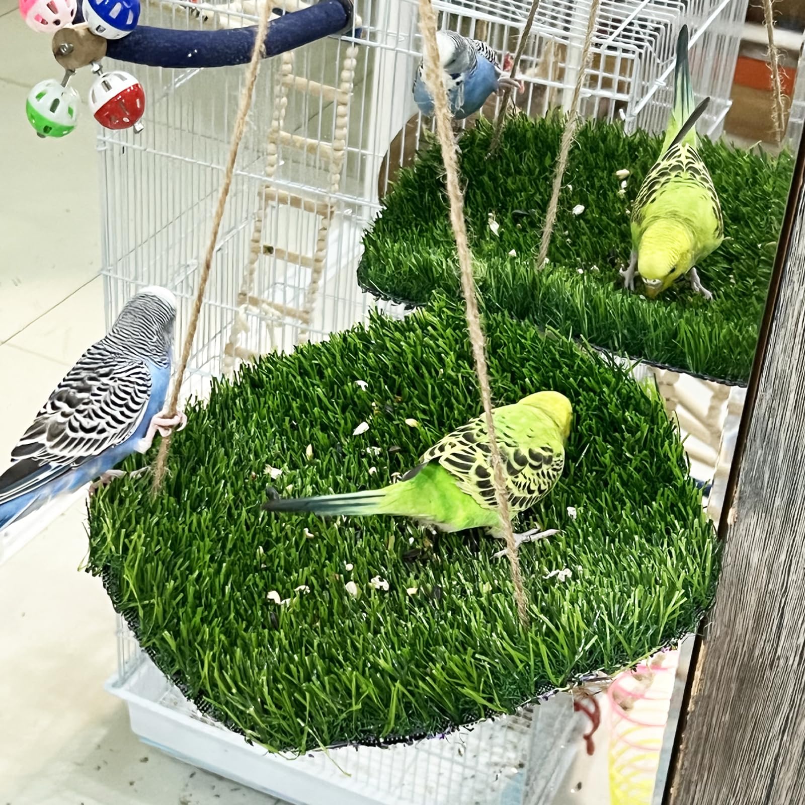 FlidRunest bird swing hammock provides a comfy resting and play space
