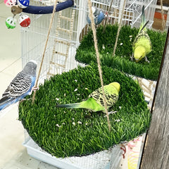 FlidRunest bird swing hammock provides a comfy resting and play space