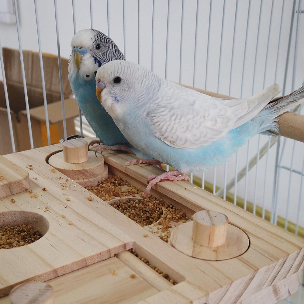 FlidRunest lid-slide enrichment toy highlights easy feeding and owner interaction
