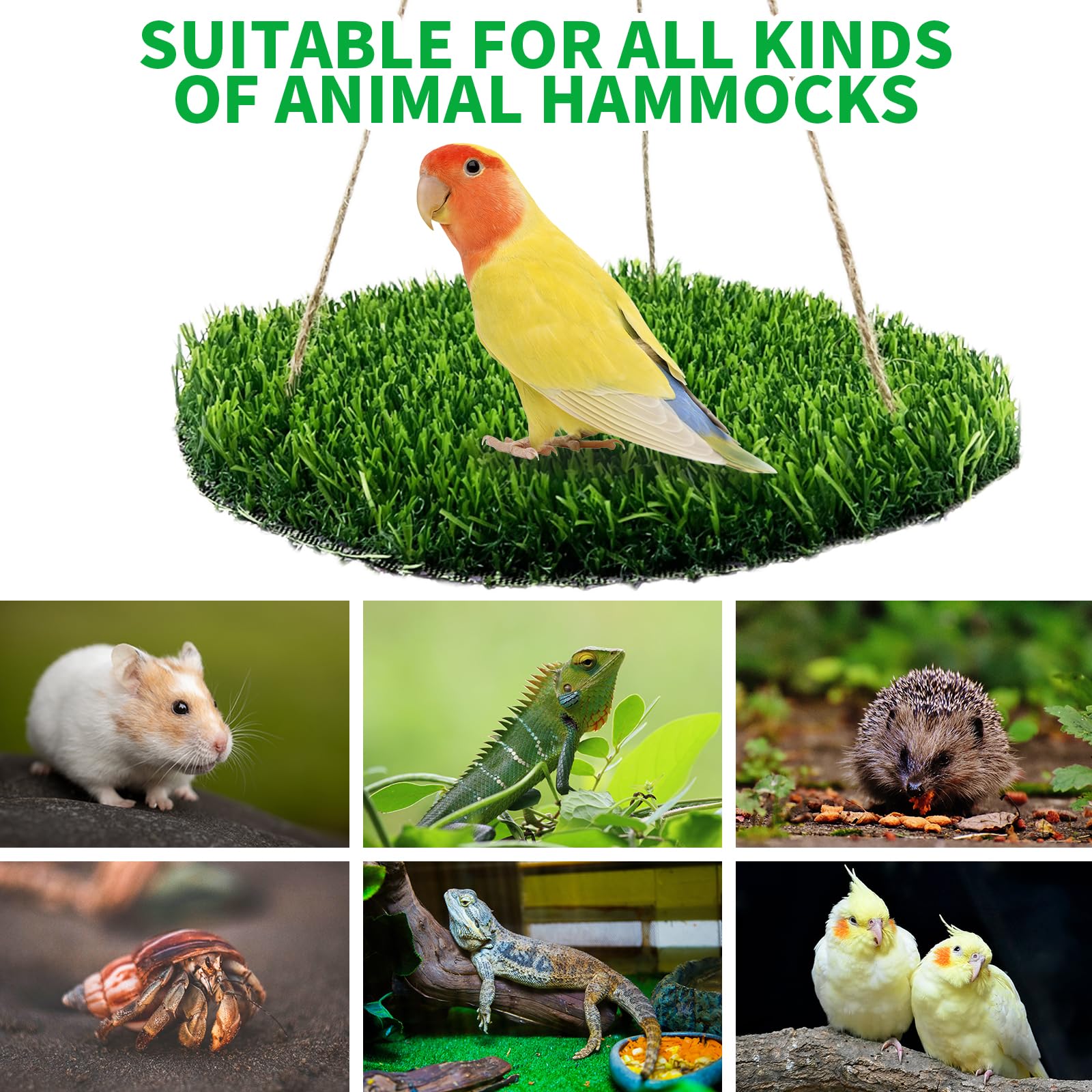 FlidRunest seagrass resting hammock keeps small birds cozy