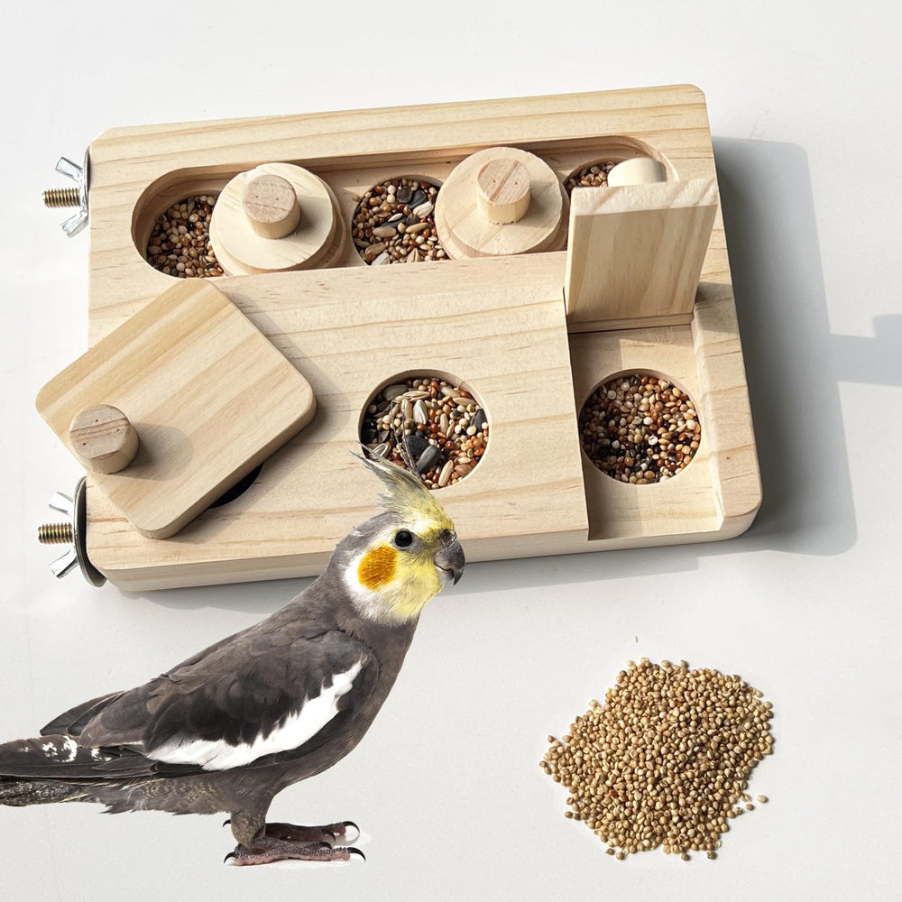 FlidRunest wooden foraging toy setup boosts parrot mental engagement during cage time