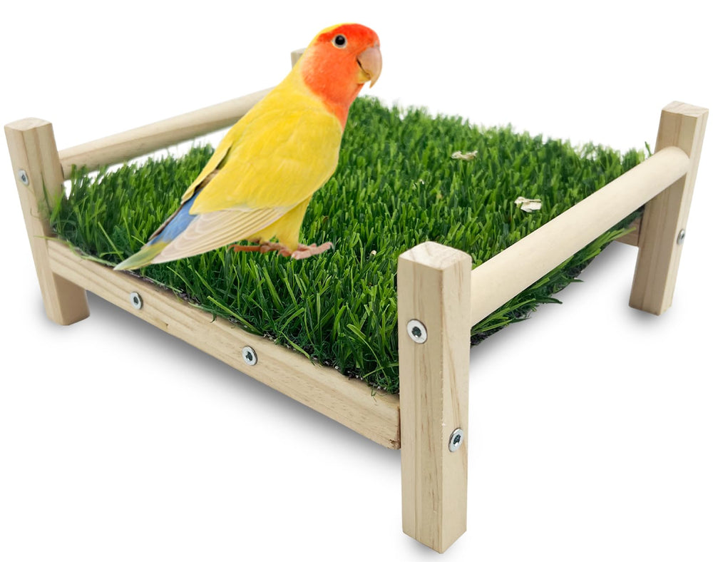 FlidRunest Bird Foraging Bed wooden frame supports durable perching and playful foraging for small birds.