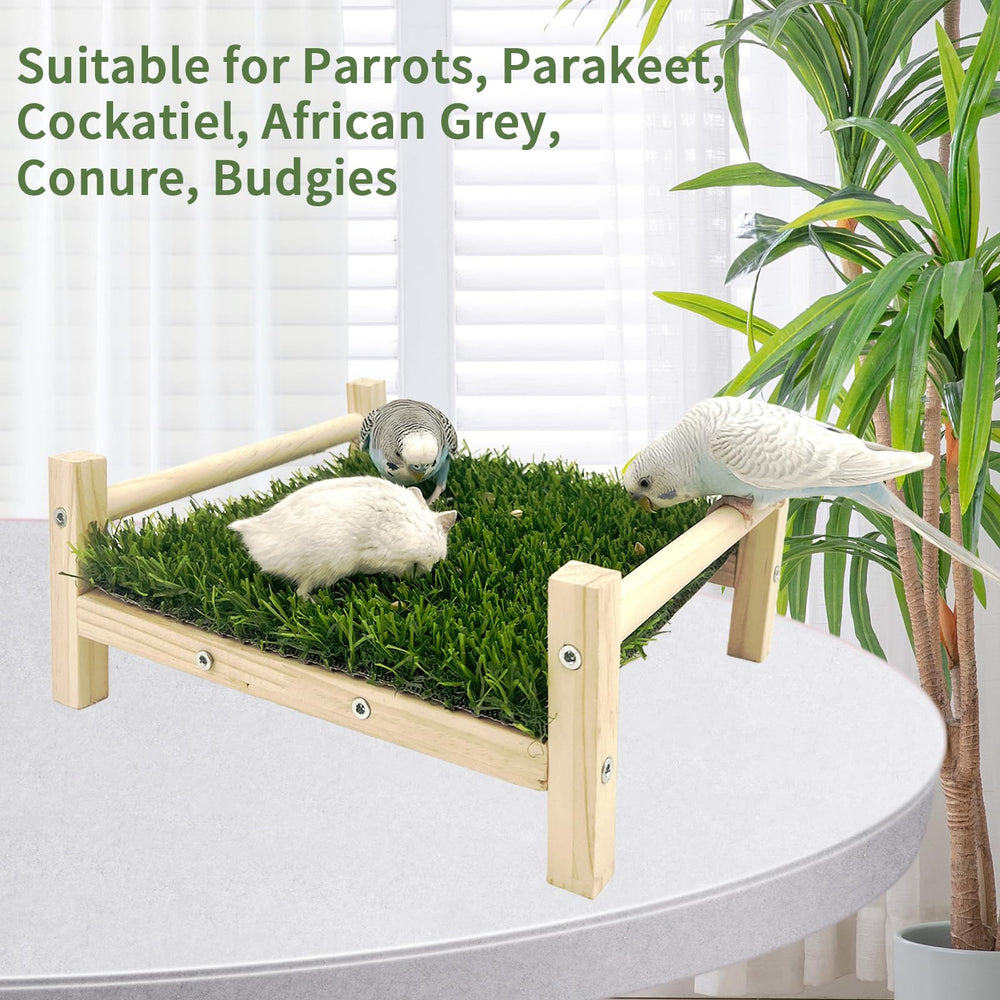 FlidRunest 9.1x7.8 inch perch platform provides stable rest and exploration space for various species.
