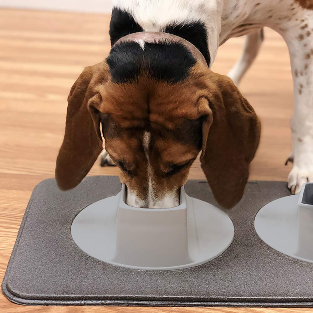 Flipo Easy-Clean Feeding Tray for long-eared breeds during meals