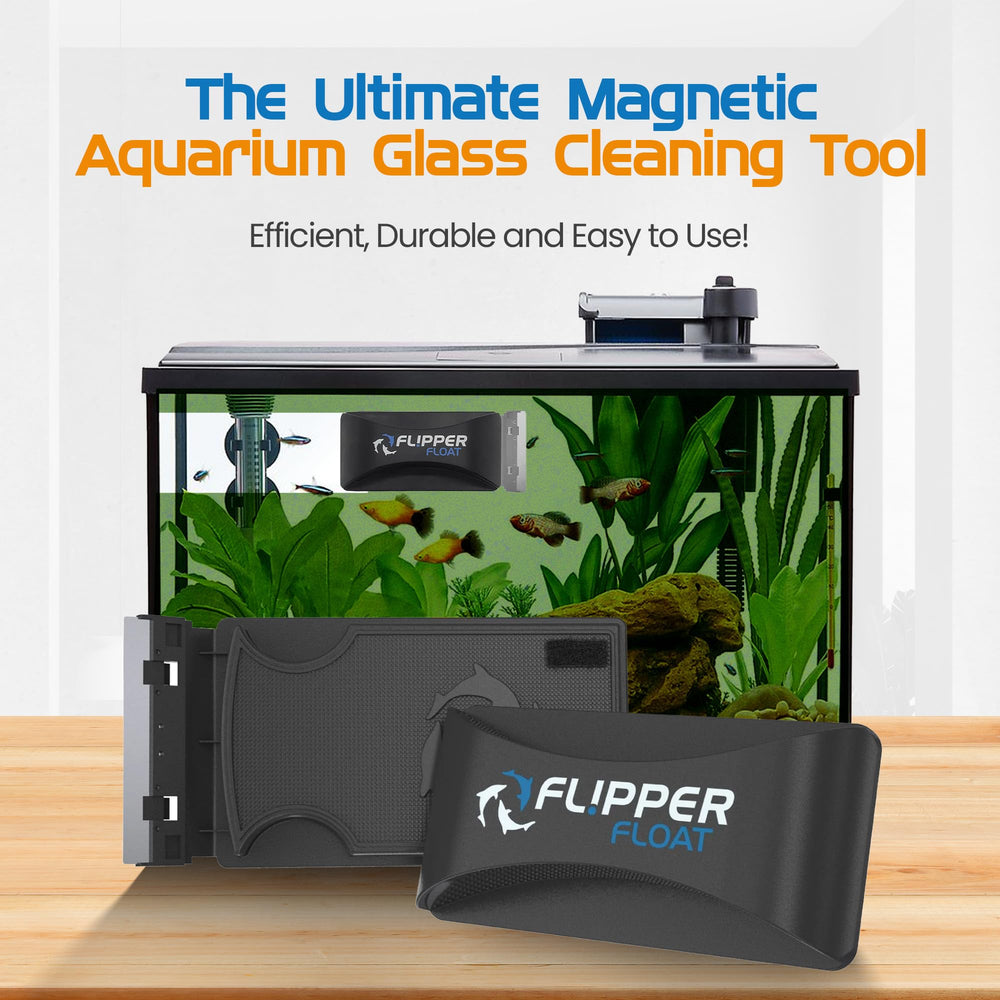 FL!PPER Float scrubbing action highlights effective algae removal on glass.