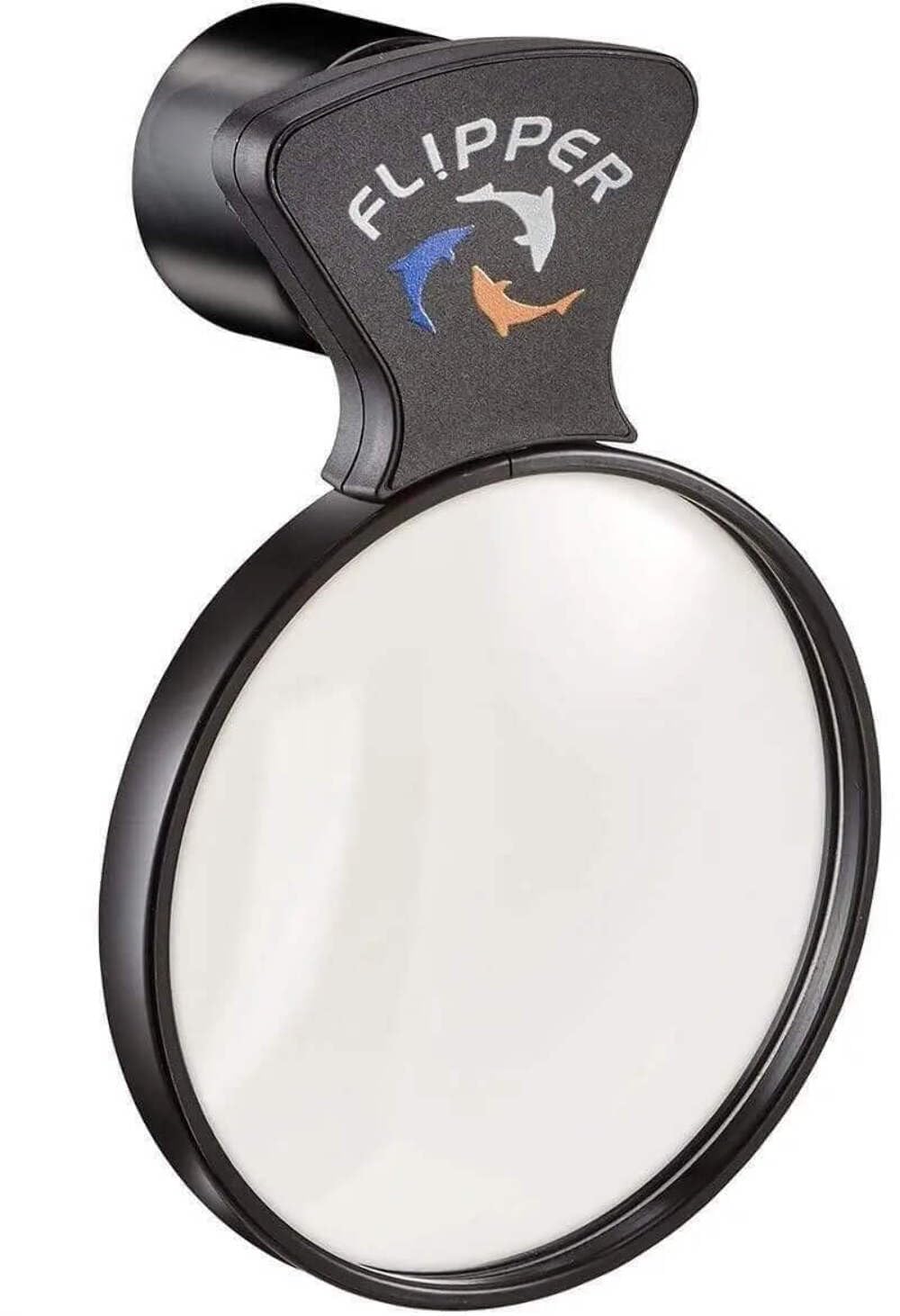 Flipper DeepSee 4in lens underwater view for sharp coral and fish detail.