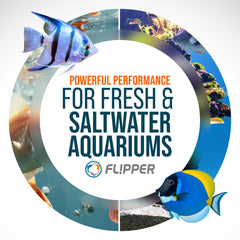 FL!PPER Edge scrub to scrape action shown for efficient tank maintenance.