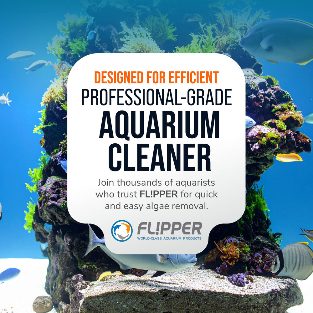 FL!PPER Edge shows time-saving benefits in routine aquarium care.