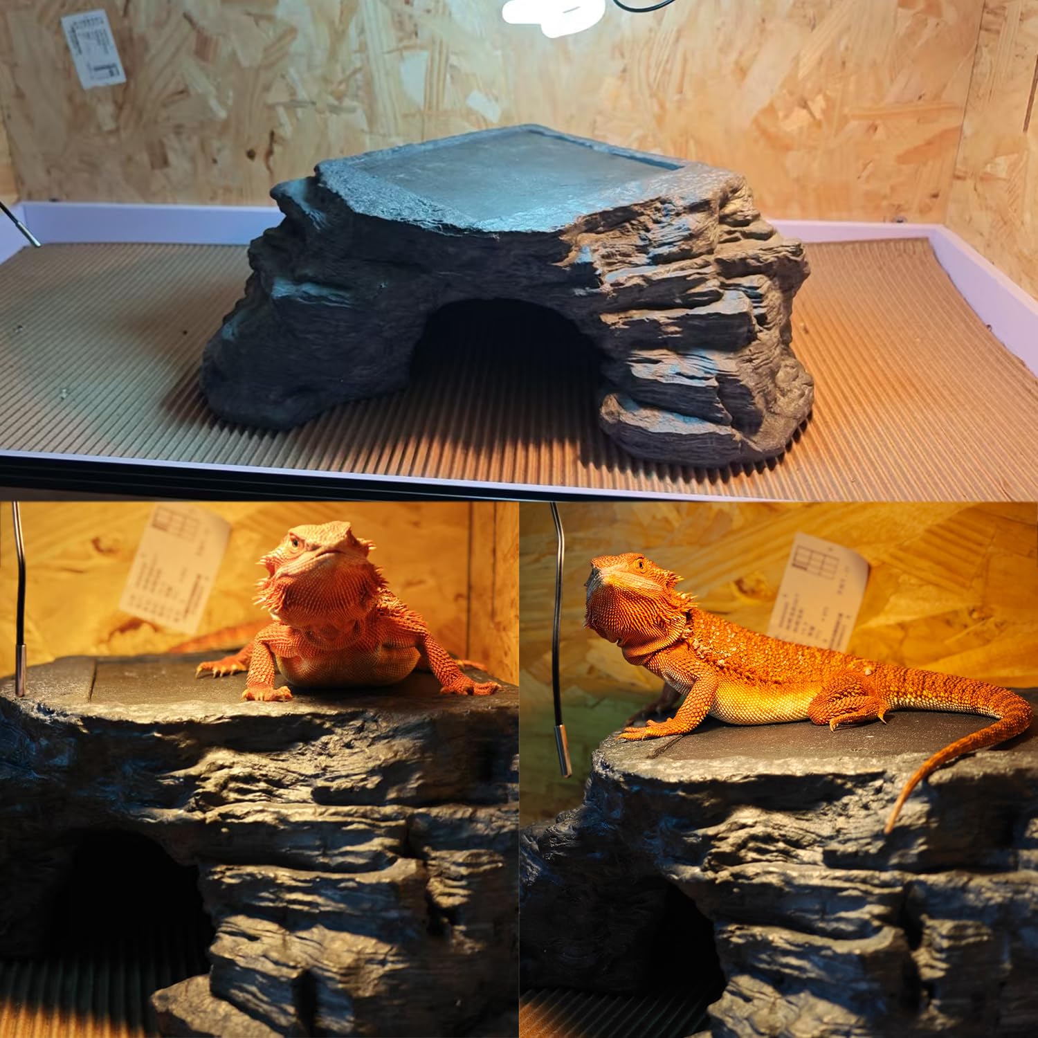 Flitsvuur X-Large thermo-regulation friendly design for reptiles.