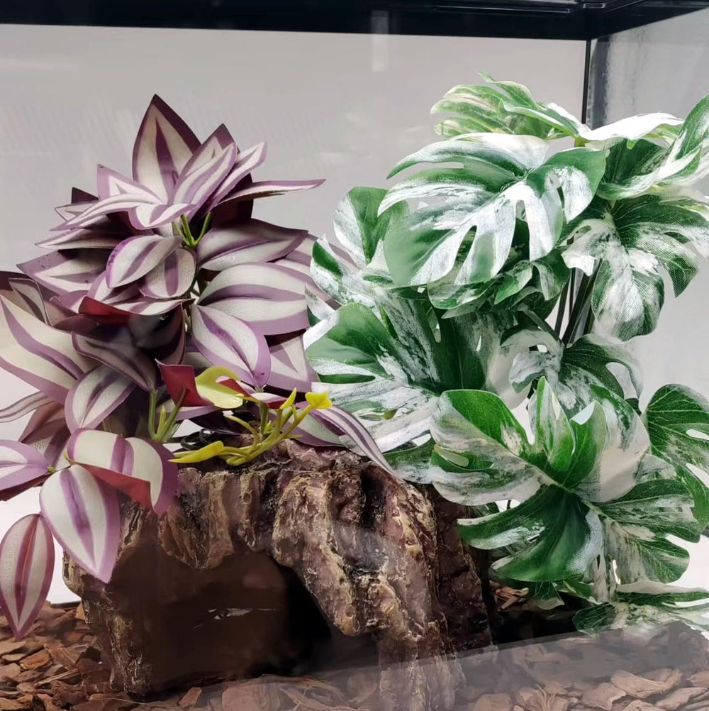 FLmoving easy-installation with strong suction cups for quick setup in terrariums