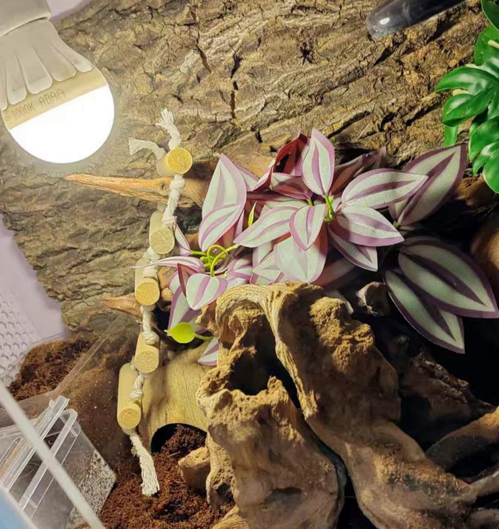 FLmoving reptile enclosure decor multi-use plant for bearded dragons and geckos