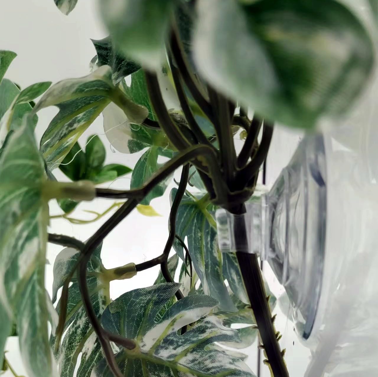 FLmoving dense foliage reptile plant with realistic texture for immersive habitat design.