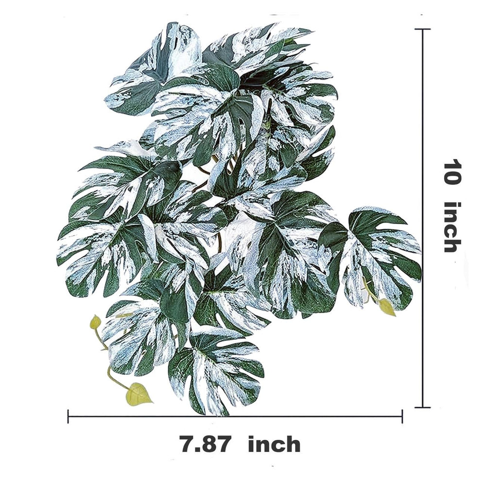 FLmoving Monstera hanging plant adds hiding spots and climbing enrichment for terrarium dwellers.