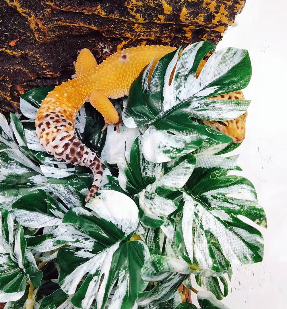 FLmoving terrarium layout using artificial plants creates a natural backdrop for reptiles.