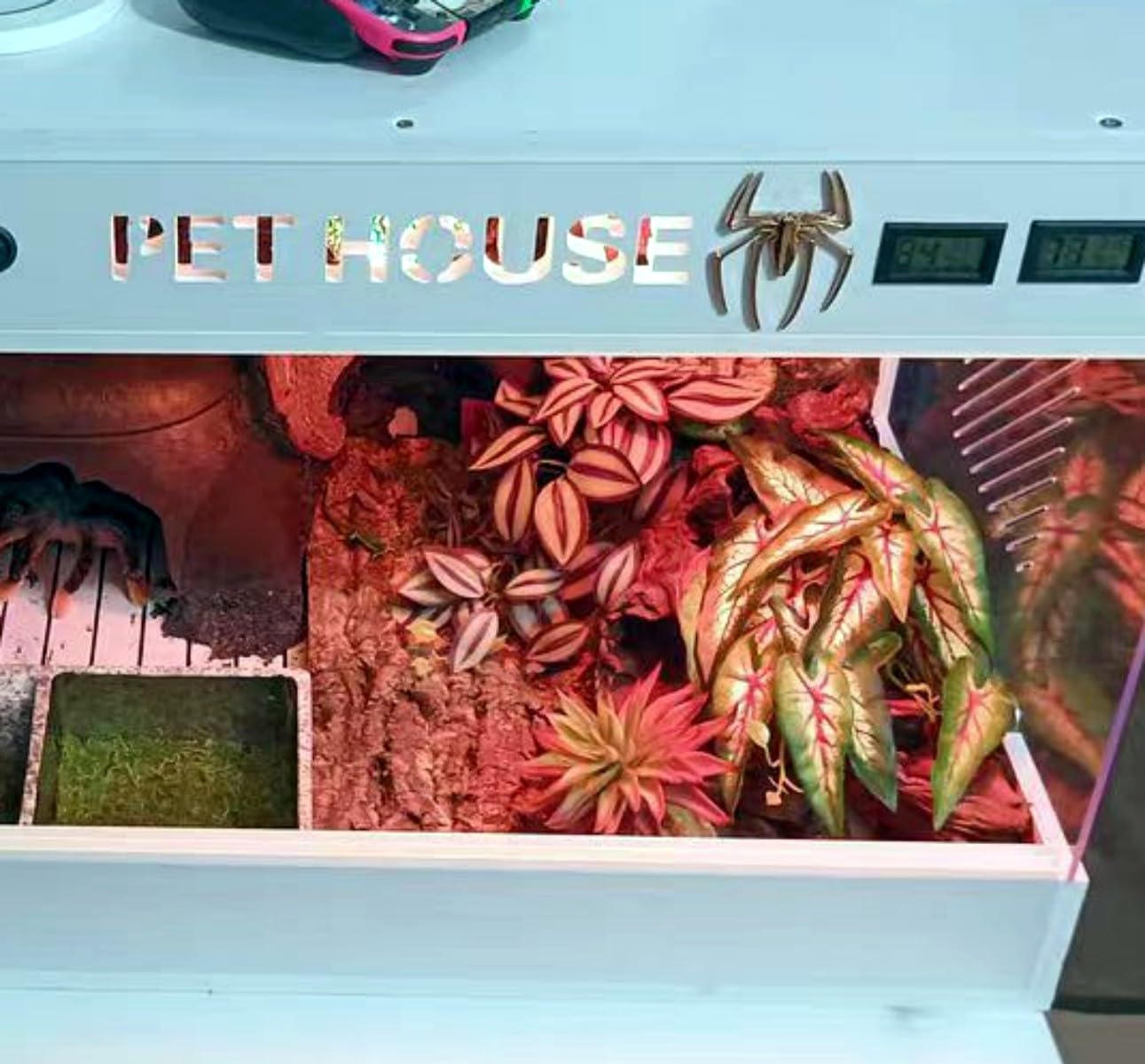 FLmoving waterproof easy-clean reptile plant designed to hold moisture droplets