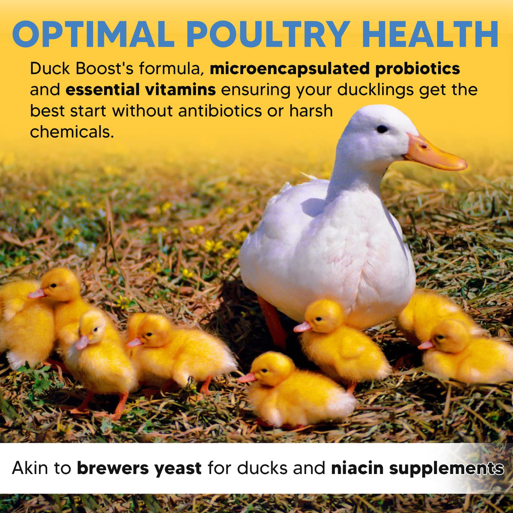 Flock Pro Duck Boost brewer's yeast powder provides essential vitamins for ducklings.