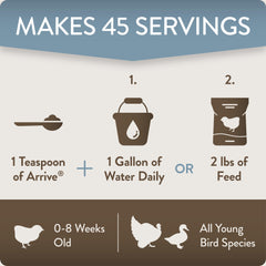 USA-grown live bacteria in Arrive support reliable, high-quality formulation.