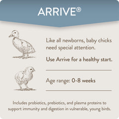 Chicks with Arrive show balanced gut microbiome for better growth and resilience.
