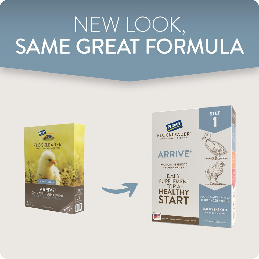 FlockLeader Arrive being added to water for easy daily feeding.