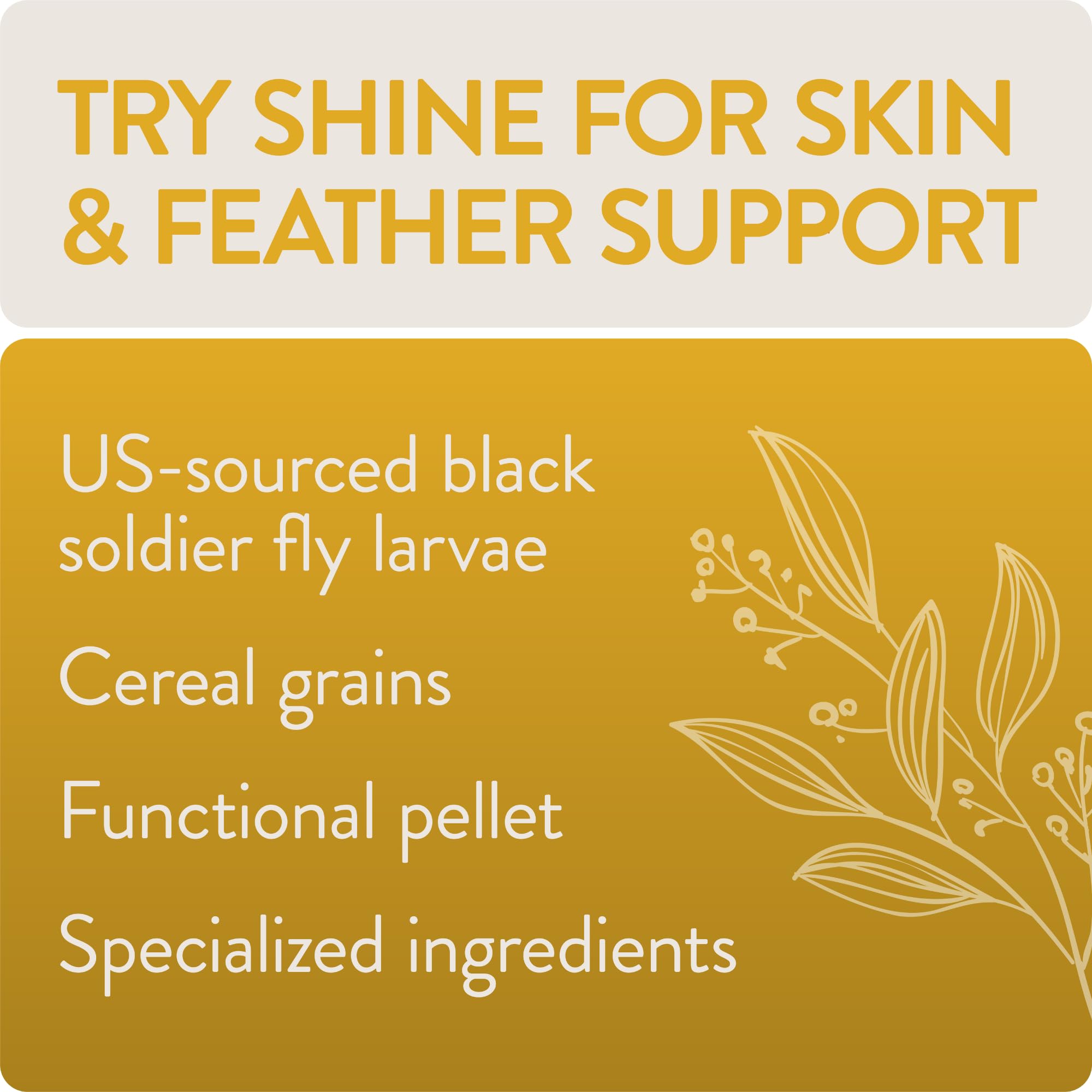 Illustration of black soldier fly larvae as Shine protein source for feathers.