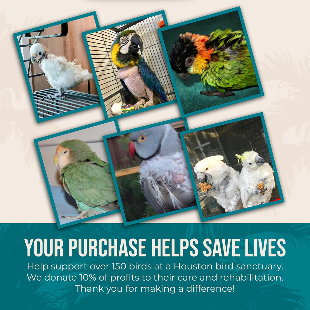 Flocksentials card notes 10% profits support a bird sanctuary