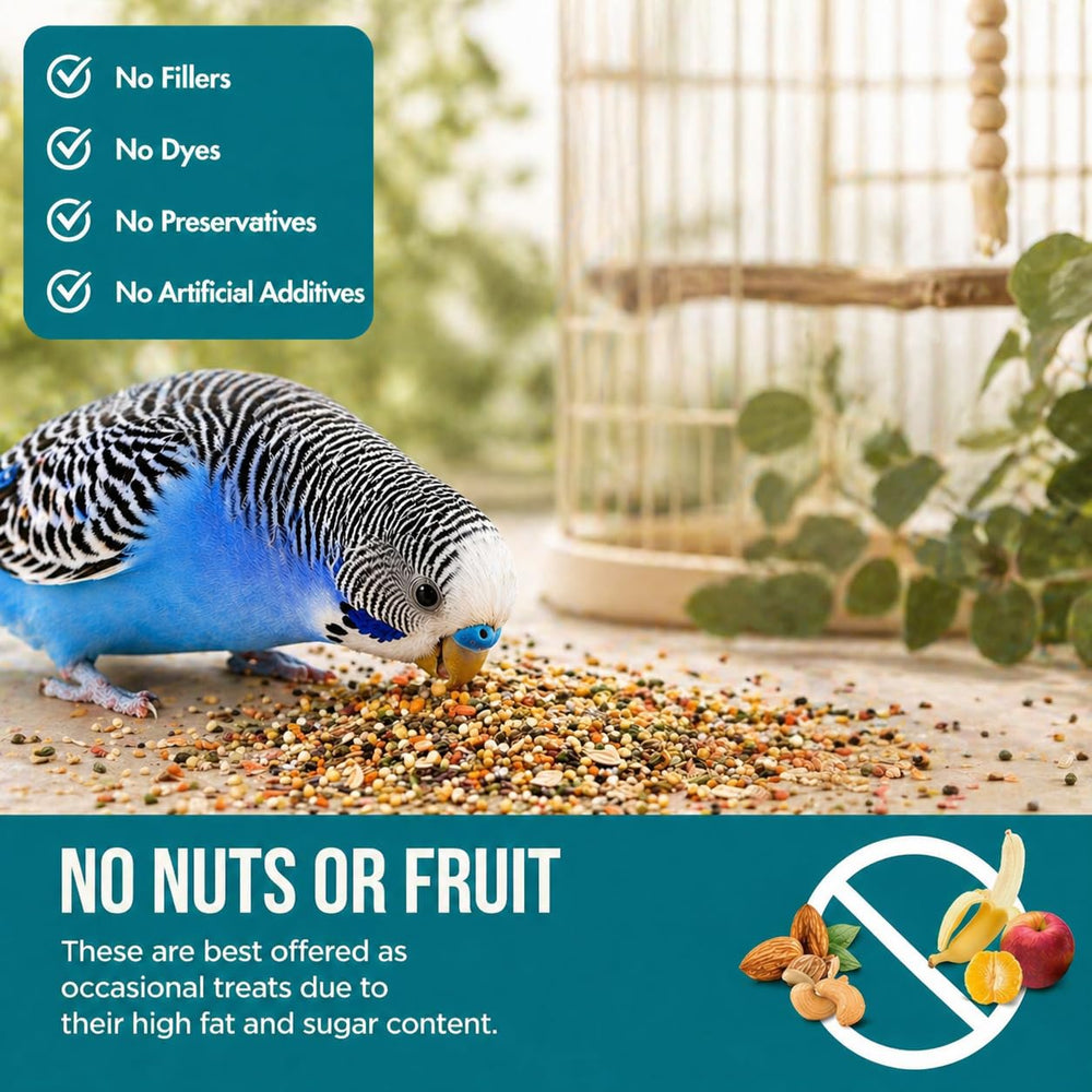 Flocksentials nutrition label emphasizing clean ingredients