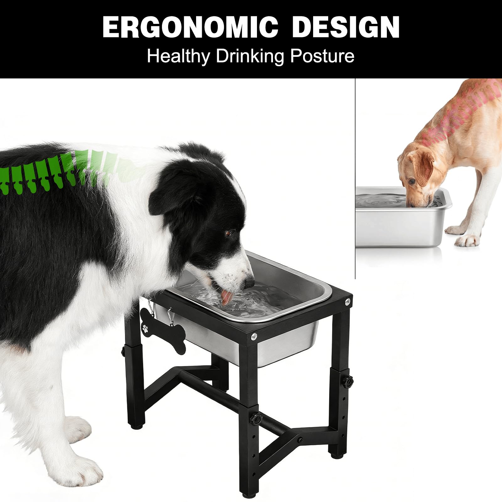 Flodomix height settings image demonstrates 7.8 to 12 inch options for growing dogs