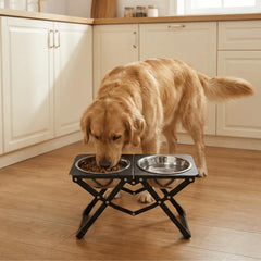 Flodomix elevated stand at 10.2 inches for comfortable feeding