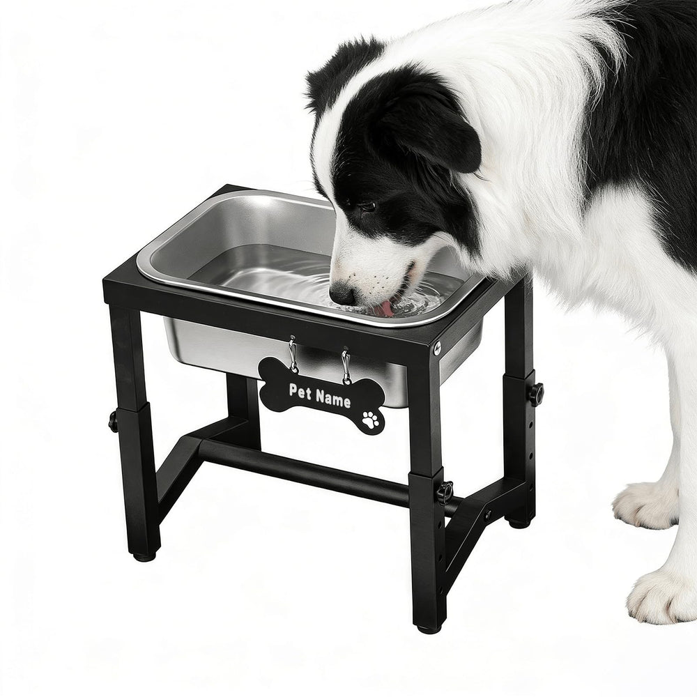 Flodomix elevated dog water bowl overview showing tall stand for easier reach