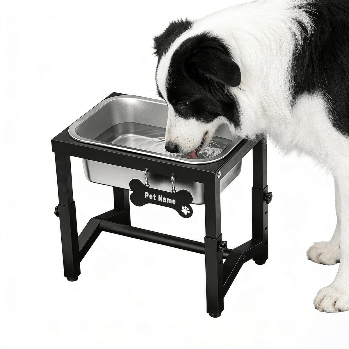 Flodomix elevated dog water bowl overview showing tall stand for easier reach