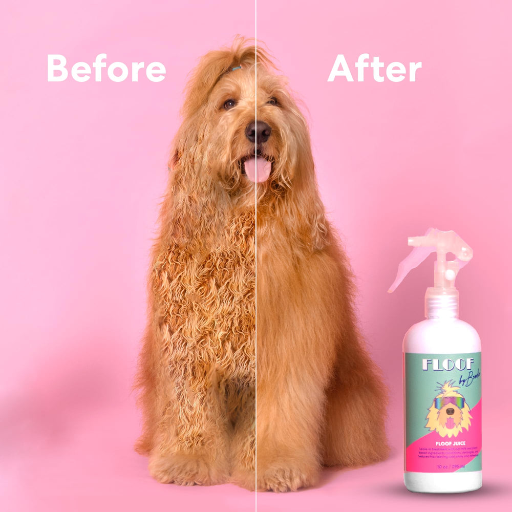 Floof by Brodie Floof Juice coat gloss aids detangling across coats.