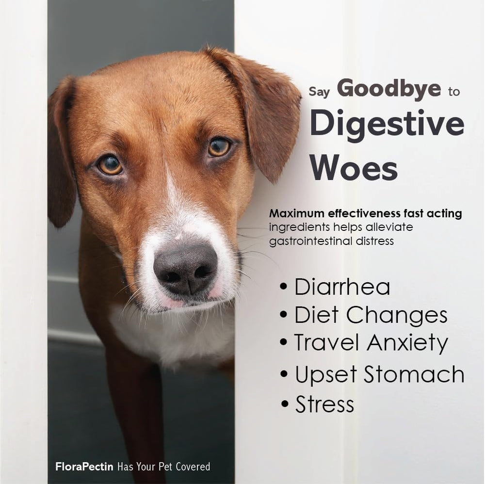 FLORA-PECTIN paste dosing-application shows gentle relief for pets during dietary changes.