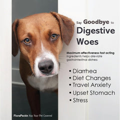 FLORA-PECTIN paste dosing-application shows gentle relief for pets during dietary changes.
