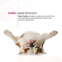 Pet enjoying a meal with FLORA-PECTIN paste for gentle digestion.