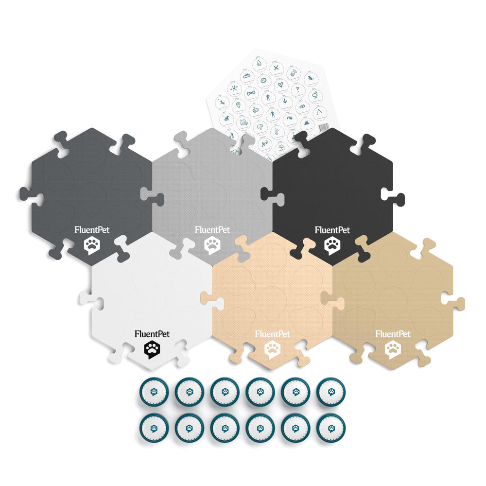 FluentPet kit with preinstalled batteries enables instant training sessions.