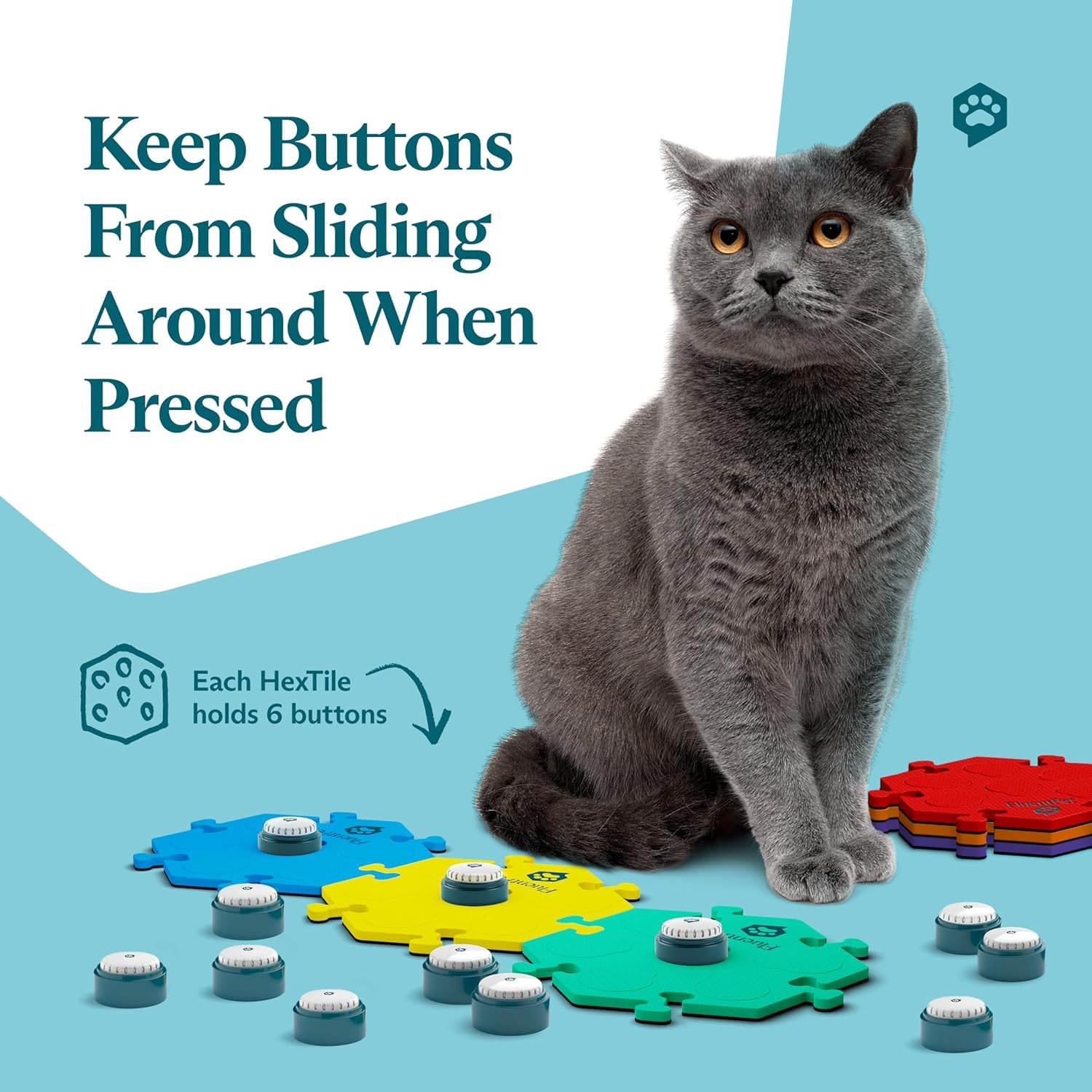 FluentPet dogs and cats using a button to communicate in daily routines