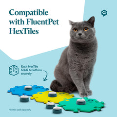 FluentPet Speak Up Button upward-sound enhances clarity during training sessions.