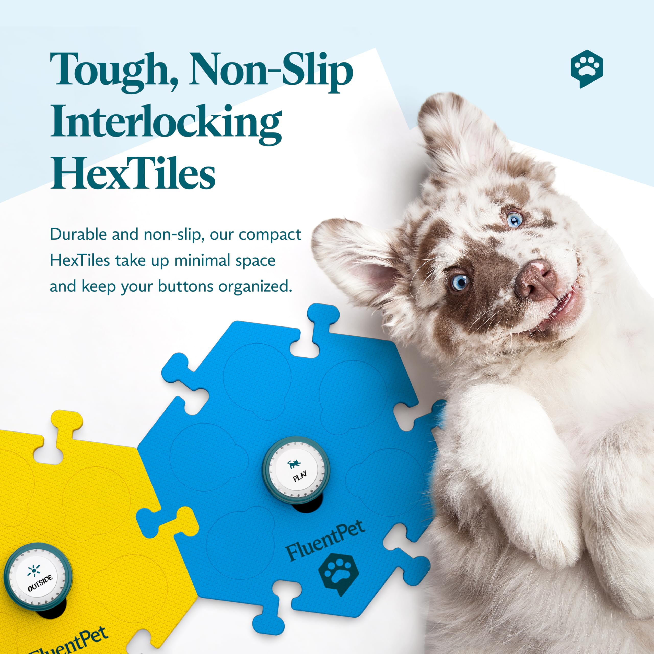 FluentPet two-button kit used during dog and cat training sessions.