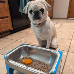 Fluff Trough two-cup capacity dining, ideal for portion control during feeding.